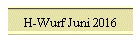 H-Wurf Juni 2016