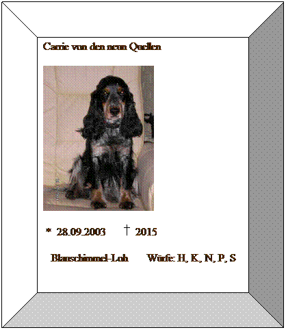 Bevel: Carrie von den neun Quellen

&nbsp;*&nbsp; 28.09.2003&nbsp;&nbsp;&nbsp;&nbsp;&nbsp; &nbsp; 2015
&nbsp;&nbsp; Blauschimmel-Loh&nbsp;&nbsp;&nbsp;&nbsp;&nbsp;&nbsp; W�rfe: H, K, N, P, S
&nbsp; 
&nbsp;
