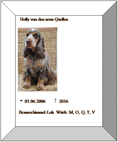 Bevel: &nbsp; Holly von den neun Quellen
&nbsp;&nbsp;
&nbsp; *&nbsp; 03.06.2006&nbsp;&nbsp;&nbsp;&nbsp;&nbsp;&nbsp; &nbsp; 2016
&nbsp;Braunschimmel-Loh&nbsp; W�rfe: M, O, Q, T, V
&nbsp;&nbsp;
&nbsp;
&nbsp;
&nbsp;
&nbsp;
&nbsp;
&nbsp;
&nbsp;
