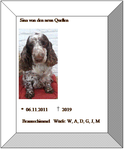 Bevel: &nbsp;Sina von den neun Quellen
&nbsp;&nbsp;
&nbsp; *&nbsp; 06.11.2011&nbsp;&nbsp;&nbsp;&nbsp;&nbsp;&nbsp; &nbsp; 2019
&nbsp;&nbsp;&nbsp;Braunschimmel&nbsp;&nbsp; W�rfe: W, A, D, G, J, M
&nbsp;&nbsp;&nbsp;&nbsp;&nbsp;&nbsp;
&nbsp;&nbsp;
&nbsp;
&nbsp;
&nbsp;
&nbsp;
&nbsp;
&nbsp;
&nbsp;
