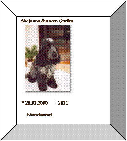 Bevel: &nbsp;Abeja von den neun Quellen&nbsp;&nbsp; 
&nbsp;&nbsp; 
&nbsp; * 28.03.2000&nbsp;&nbsp;&nbsp;&nbsp;  2011
&nbsp;&nbsp;&nbsp;&nbsp;&nbsp; Blauschimmel&nbsp;&nbsp; 
&nbsp; 
&nbsp;
&nbsp;
&nbsp;
B&nbsp;
&nbsp;
&nbsp;
&nbsp;
&nbsp;
&nbsp;
&nbsp;
&nbsp;
&nbsp;
