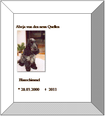 Bevel: &nbsp;
Abeja von den neun Quellen&nbsp;&nbsp; 

&nbsp;&nbsp; Blauschimmel&nbsp;&nbsp; 
&nbsp; * 28.03.2000&nbsp;&nbsp;&nbsp;&nbsp; +&nbsp; 2011
&nbsp;
&nbsp;
&nbsp;
B&nbsp;
&nbsp;
&nbsp;
&nbsp;
&nbsp;
&nbsp;
&nbsp;
&nbsp;
&nbsp;
