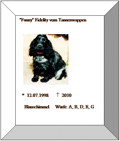 Bevel: &nbsp;"Funny" Fidelity vom Tannenwappen

&nbsp;&nbsp;&nbsp; 
&nbsp;&nbsp; * &nbsp;12.07.1998&nbsp;&nbsp;&nbsp;&nbsp;&nbsp;&nbsp;&nbsp; 2010&nbsp;&nbsp;&nbsp; 
&nbsp;&nbsp;&nbsp;&nbsp; Blauschimmel&nbsp;&nbsp;&nbsp;&nbsp; W�rfe: A, B, D, E, G
&nbsp;
&nbsp;
&nbsp;
